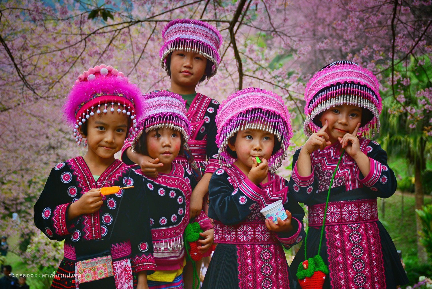 Hmongพาเที่ยวแม่แจ่ม
